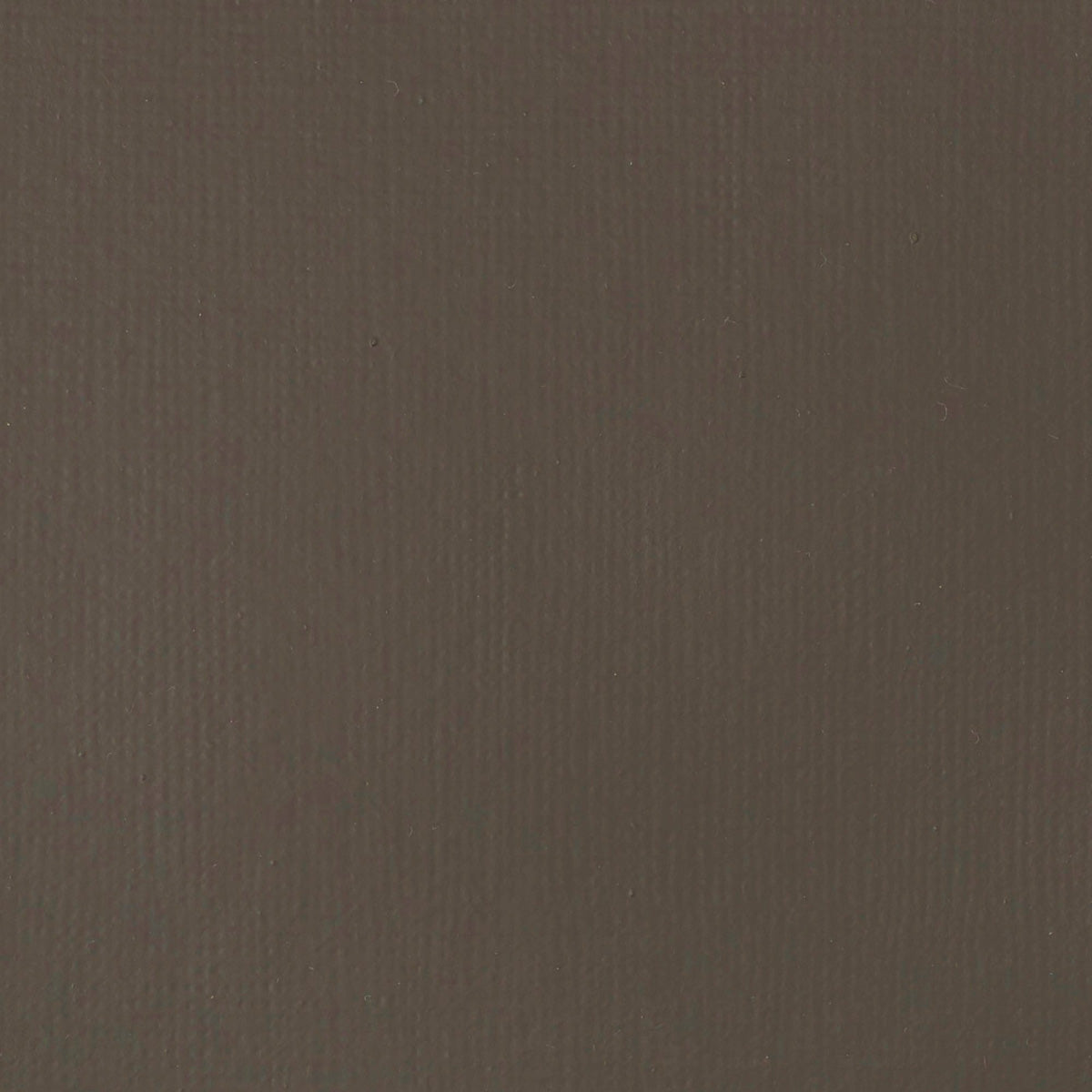 Liquitex Basics Acrylic Fluid - Raw Umber S1