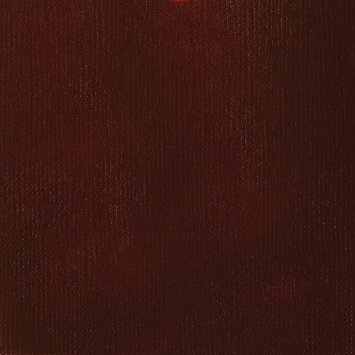 Liquitex Basics Acrylic Fluid - Burnt Umber S1