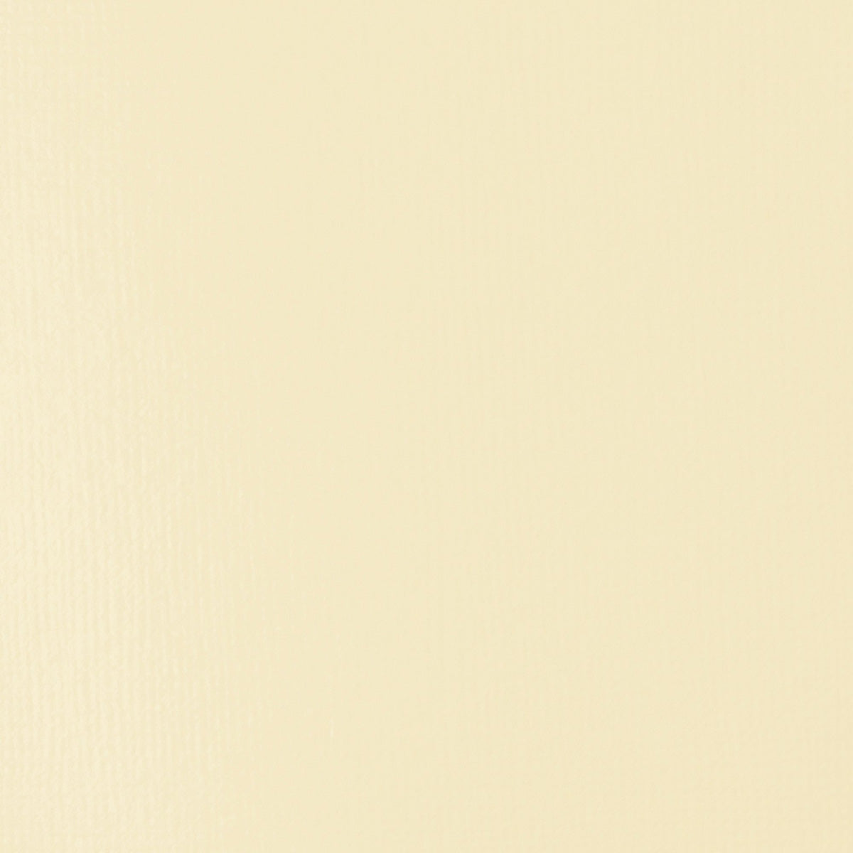 Liquitex Basics Acrylic Fluid - Unbleached Titanium S1