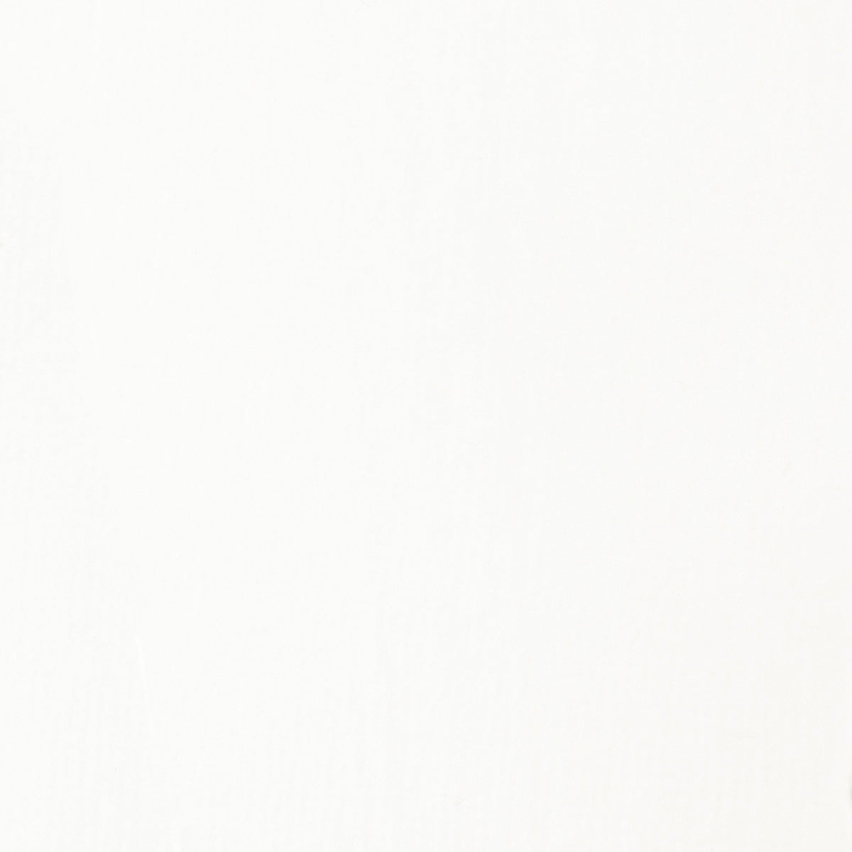 Liquitex Basics Acrylic Fluid - Transparent Mixing White S1
