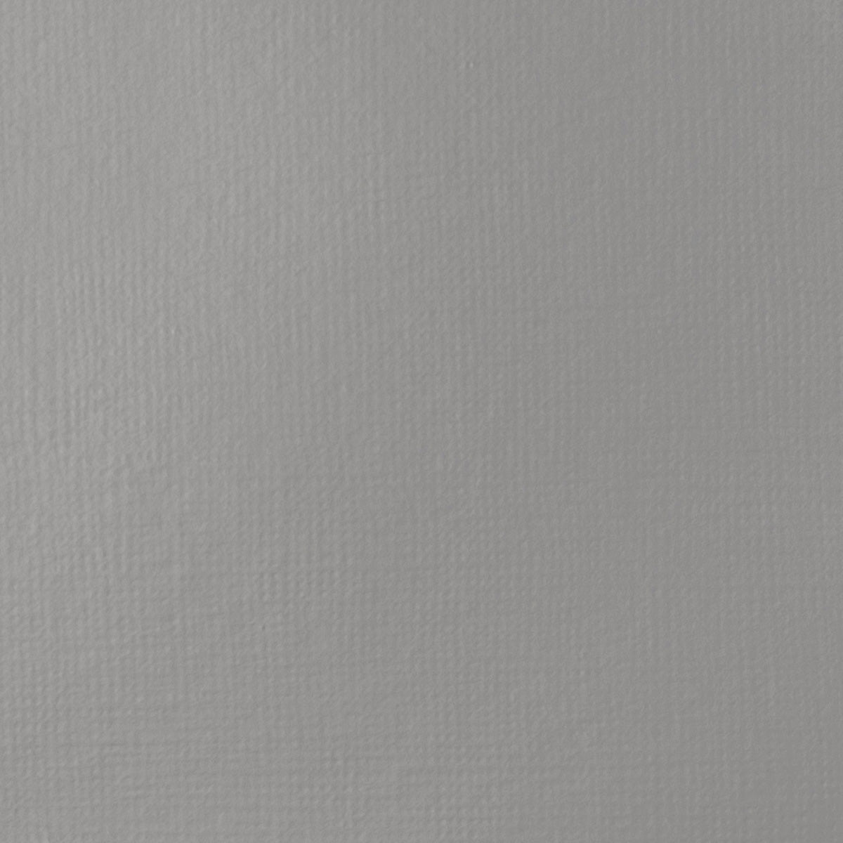 Liquitex Basics Acrylic Fluid - Neutral Gray 5 S1