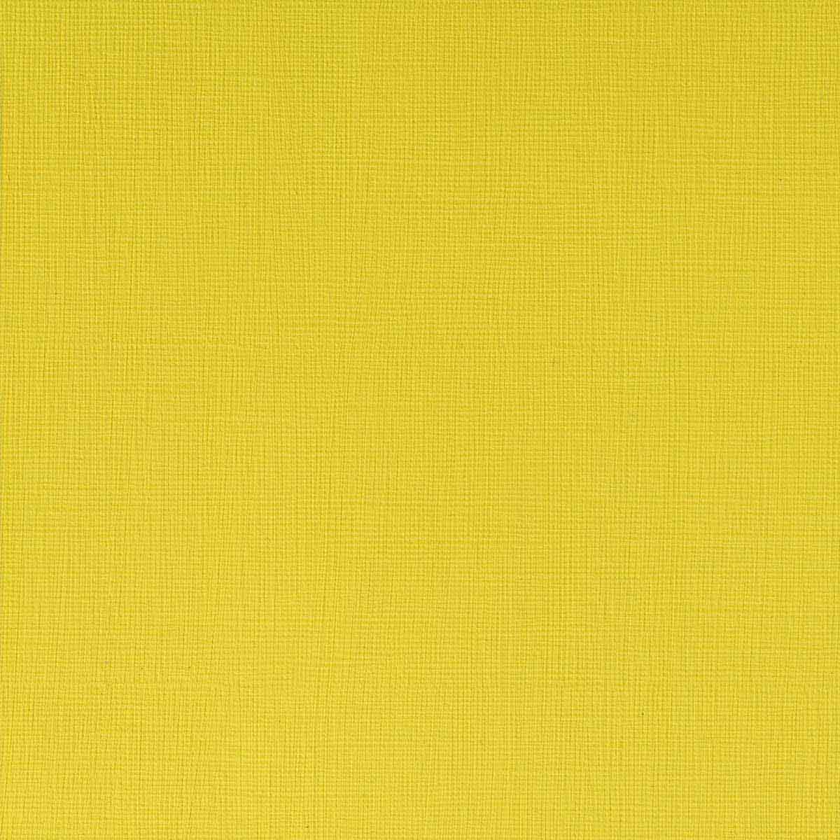 Winsor & Newton Professional Acrylic 60ml Cadmium Lemon - Winsor & Newton at DRK Crafts