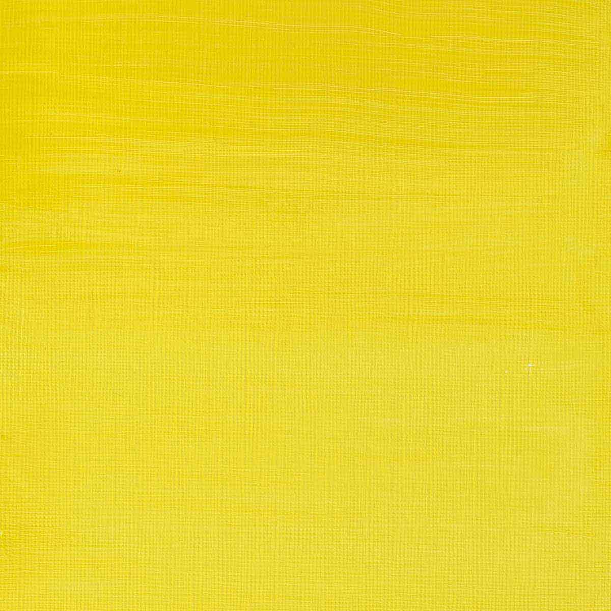 Winsor & Newton Professional Acrylic 60ml Lemon Yellow - Winsor & Newton at DRK Crafts