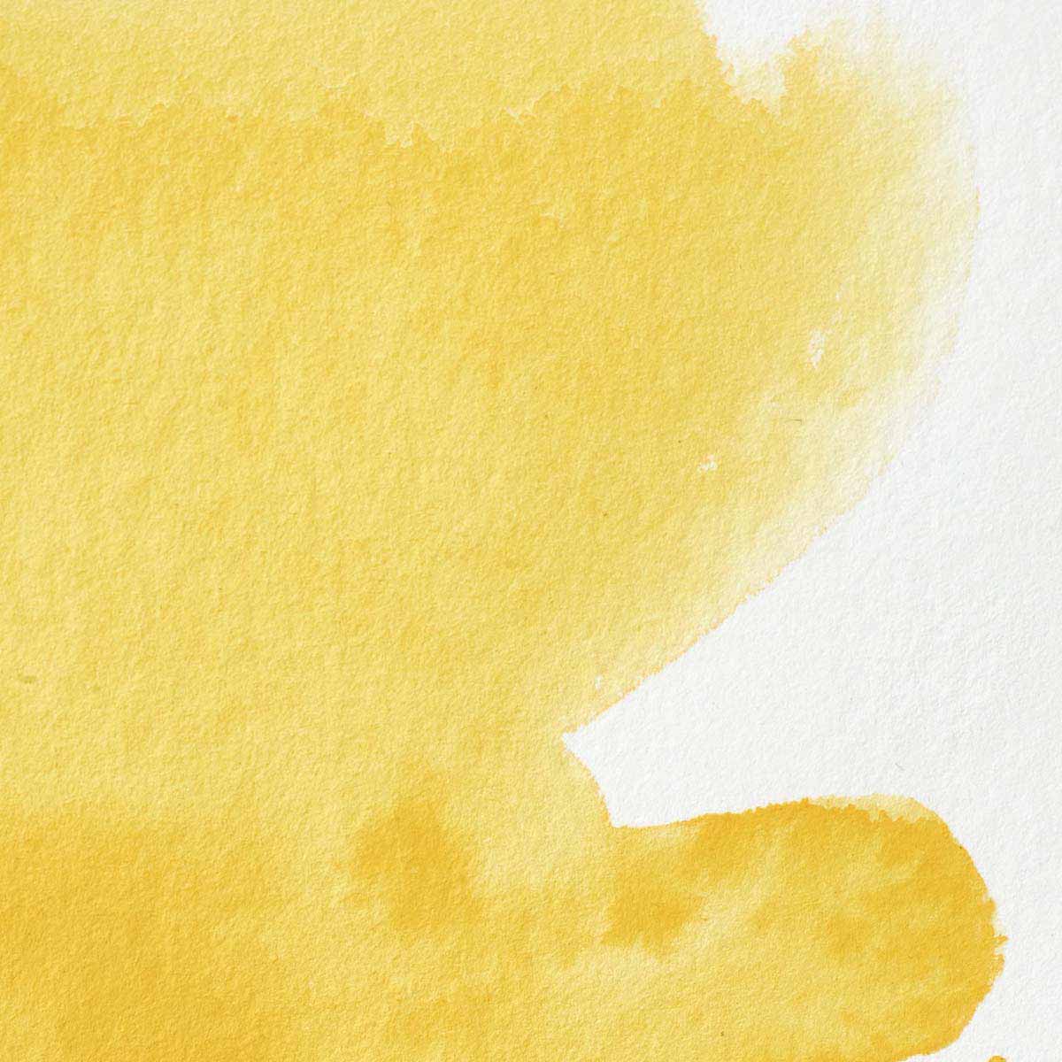 Winsor & Newton Professional Watercolour 5ml Cadmium FREE Yellow Pale - Winsor & Newton at DRK Crafts