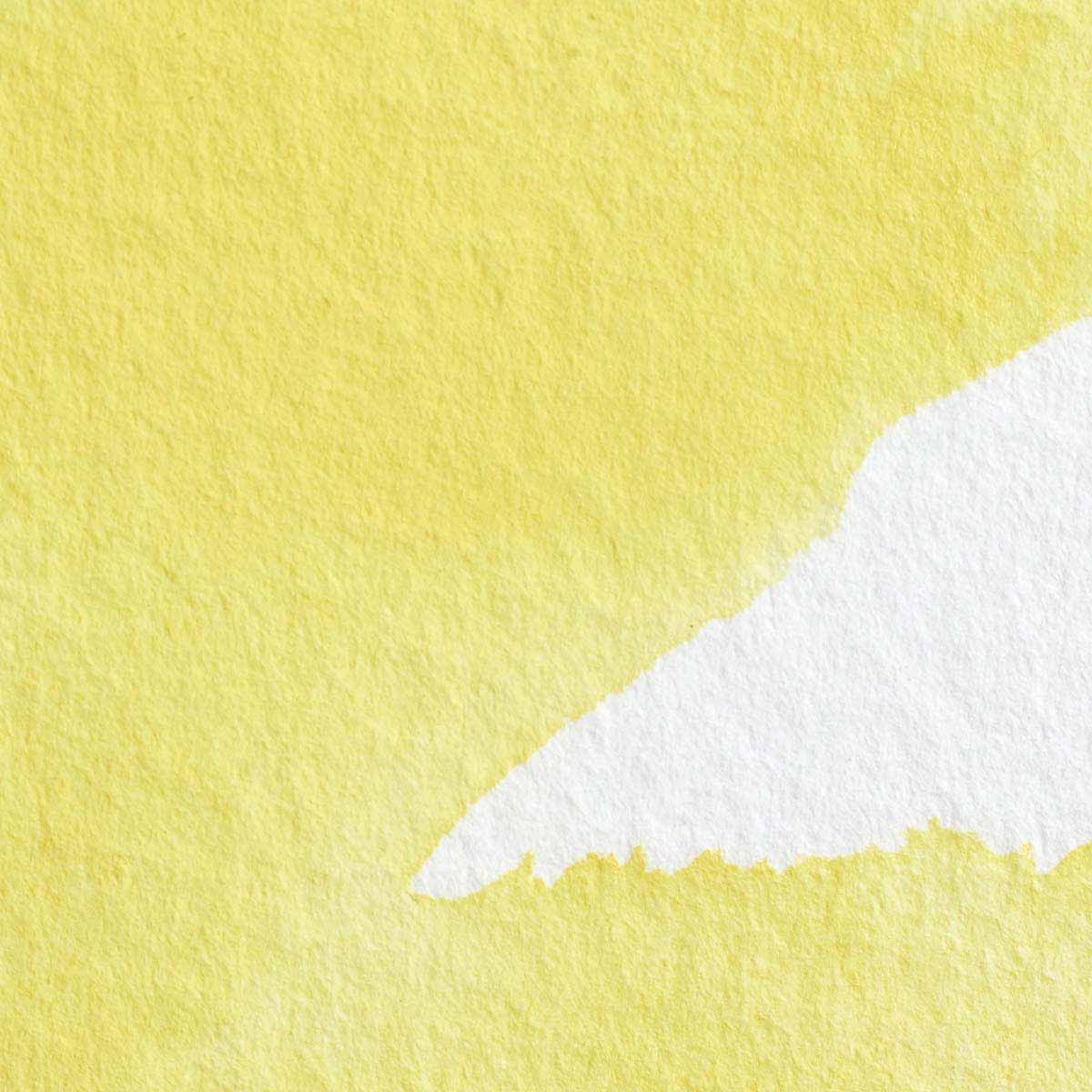 Winsor & Newton Bismuth Yellow Half Pan - S3 Professional Watercolour - Winsor & Newton at DRK Crafts