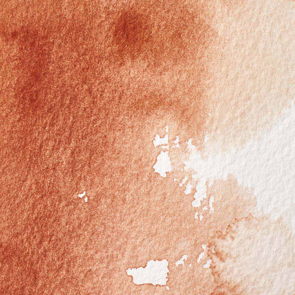 Winsor & Newton Burnt Sienna Half Pan - S1 Professional Watercolour - Winsor & Newton at DRK Crafts