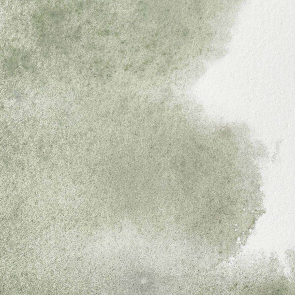 Winsor & Newton Davy's Grey Half Pan - S1 Professional Watercolour - Winsor & Newton at DRK Crafts