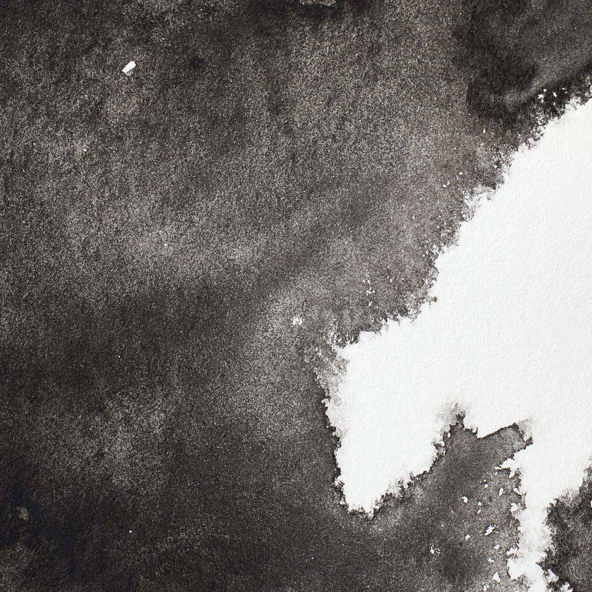 Winsor & Newton Ivory Black Half Pan - S1 Professional Watercolour - Winsor & Newton at DRK Crafts