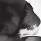 Winsor & Newton Lamp Black Half Pan - S1 Professional Watercolour - Winsor & Newton at DRK Crafts