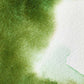 Winsor & Newton Permanent Sap Green Half Pan - S1 Professional Watercolour - Winsor & Newton at DRK Crafts