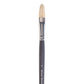 Elements Hog Brush LH Filbert 6 – Art & Craft Essential