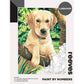 Reeves Paint by Numbers 12x16 inch - Labrador