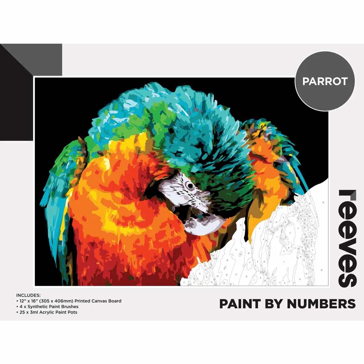 Reeves Paint by Numbers 12x16 inch - Parrot | Reeves Art Supplies UK ...