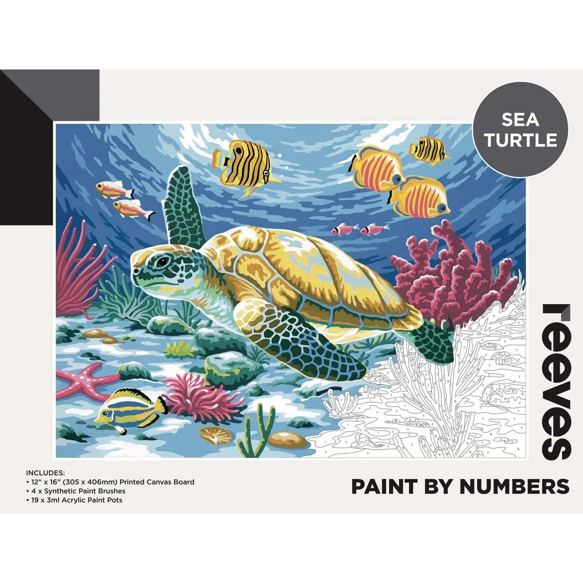 Reeves Paint by Numbers 12x16 inch - Sea Turtle