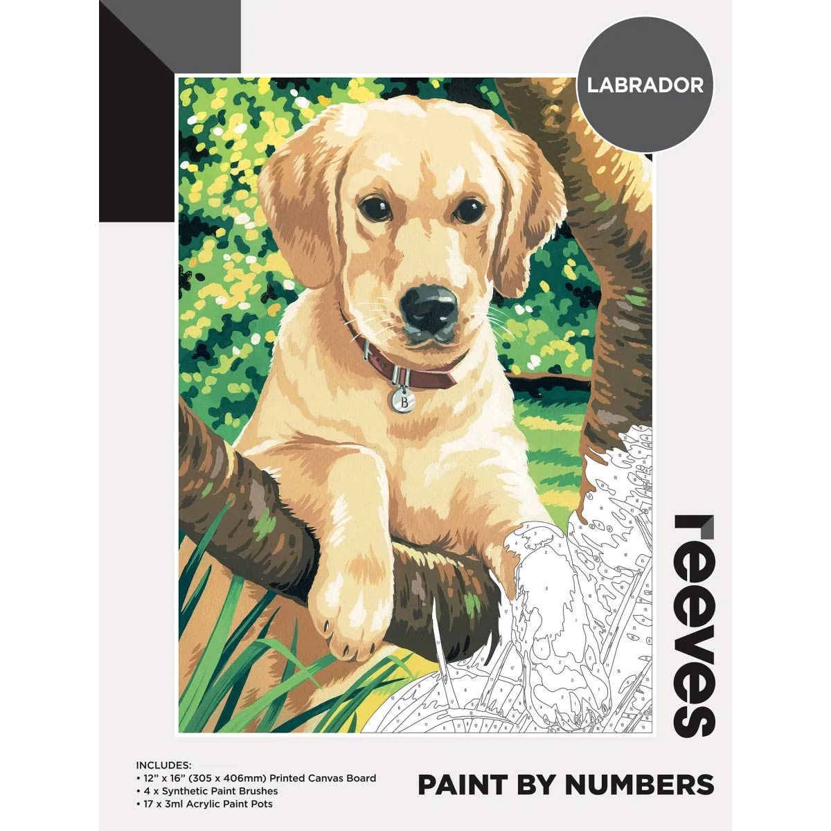 Reeves Paint by Numbers 12x16 inch - Labrador