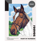 Reeves Paint by Numbers 12x16 inch - Pony