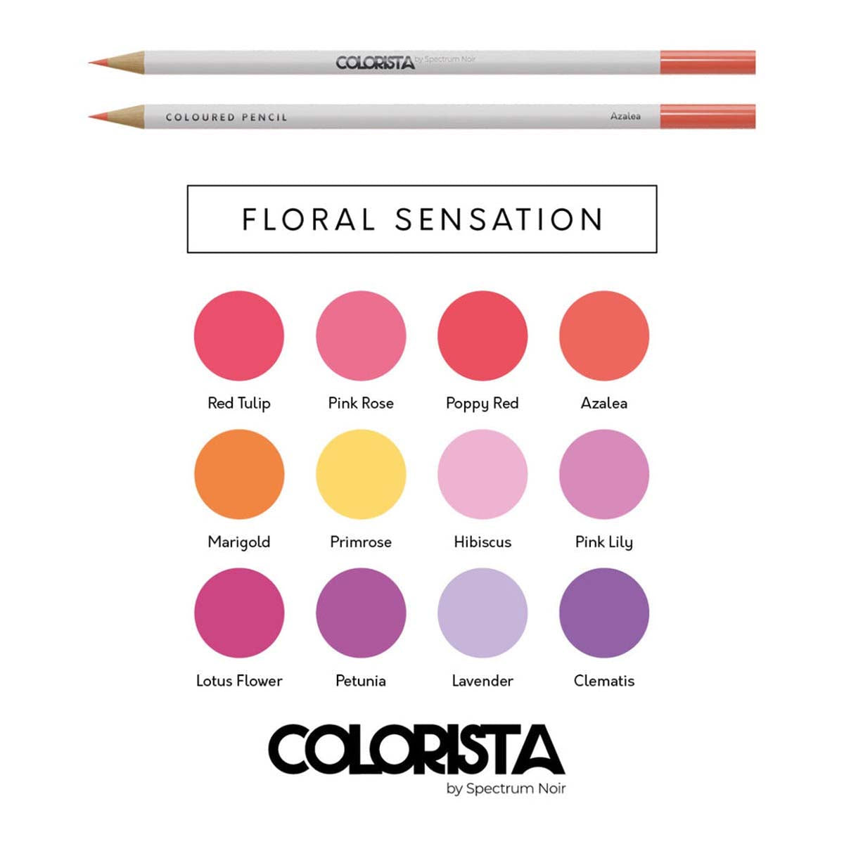 Crafter's Companion Colorista - Coloured Pencil - Floral Sensation 12pc
