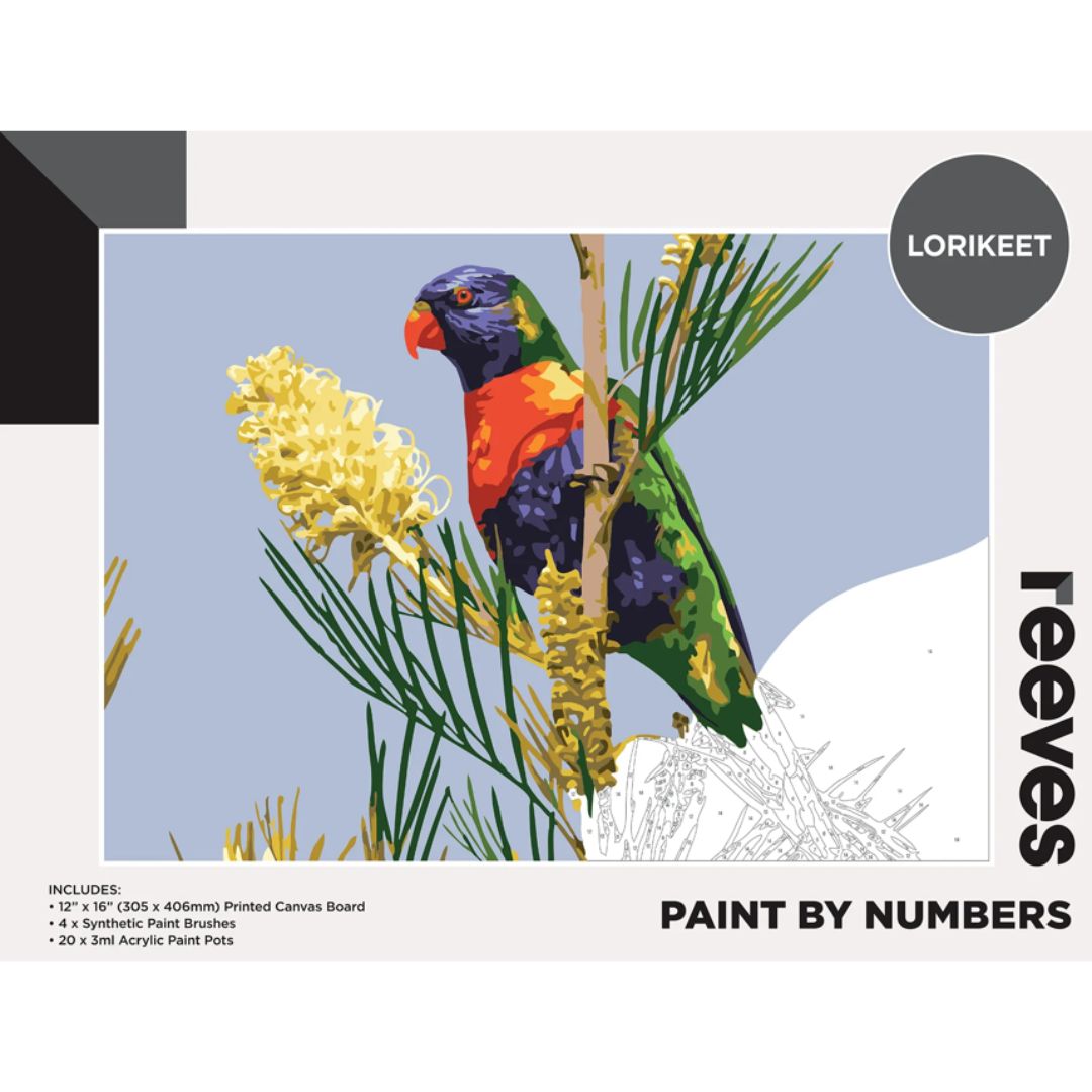 Reeves Paint by Numbers 12x16 inch - Lorikeet