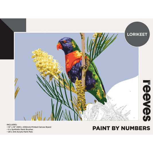 Reeves Paint by Numbers 12x16 inch - Lorikeet