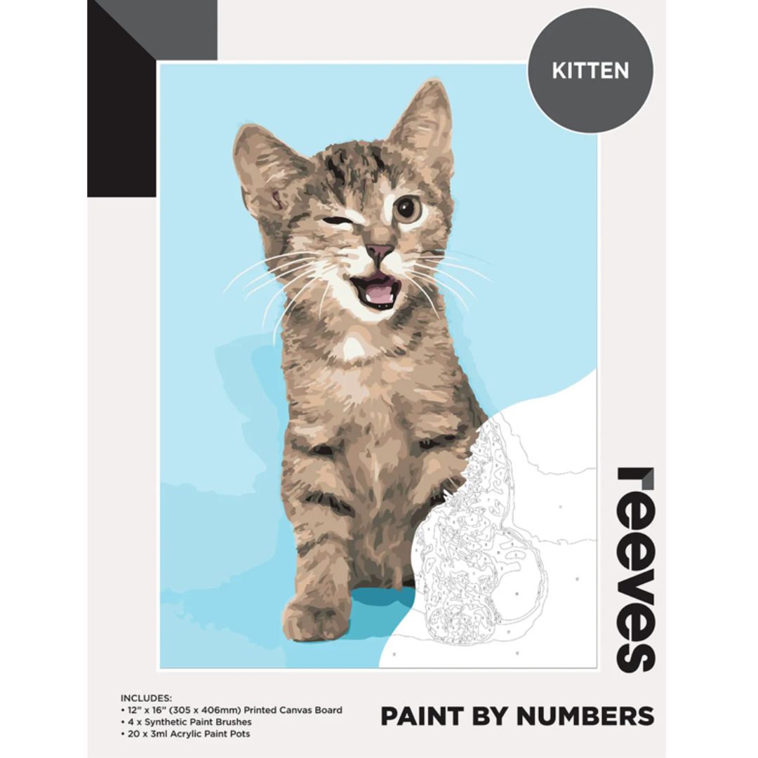 Reeves Paint by Numbers 12x16 inch - Kitten
