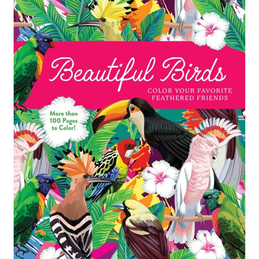 Beautiful Birds Coloring Book