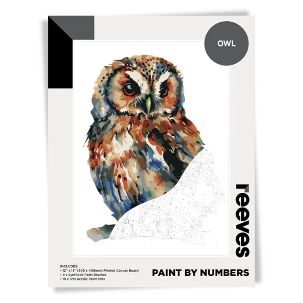 Reeves Paint by Numbers 12x16 inch - Owl