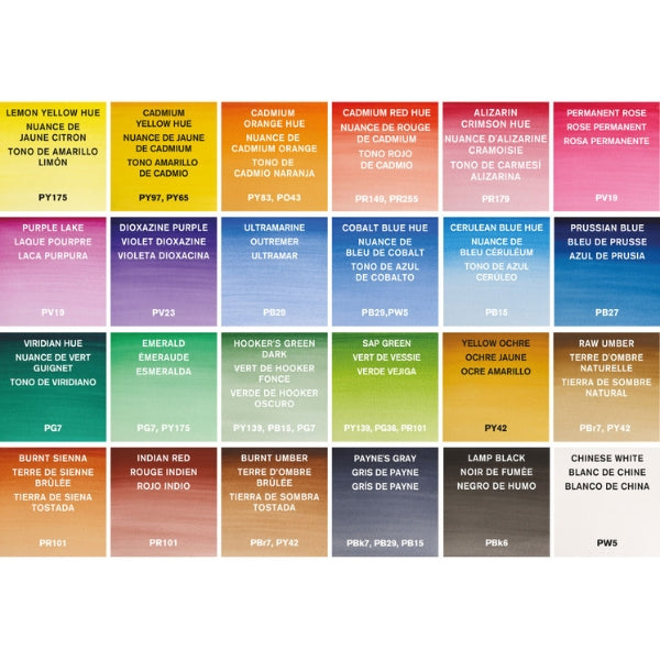 Winsor & Newton Cotman Watercolours Painting Plus 24 Set - Winsor & Newton at DRK Crafts