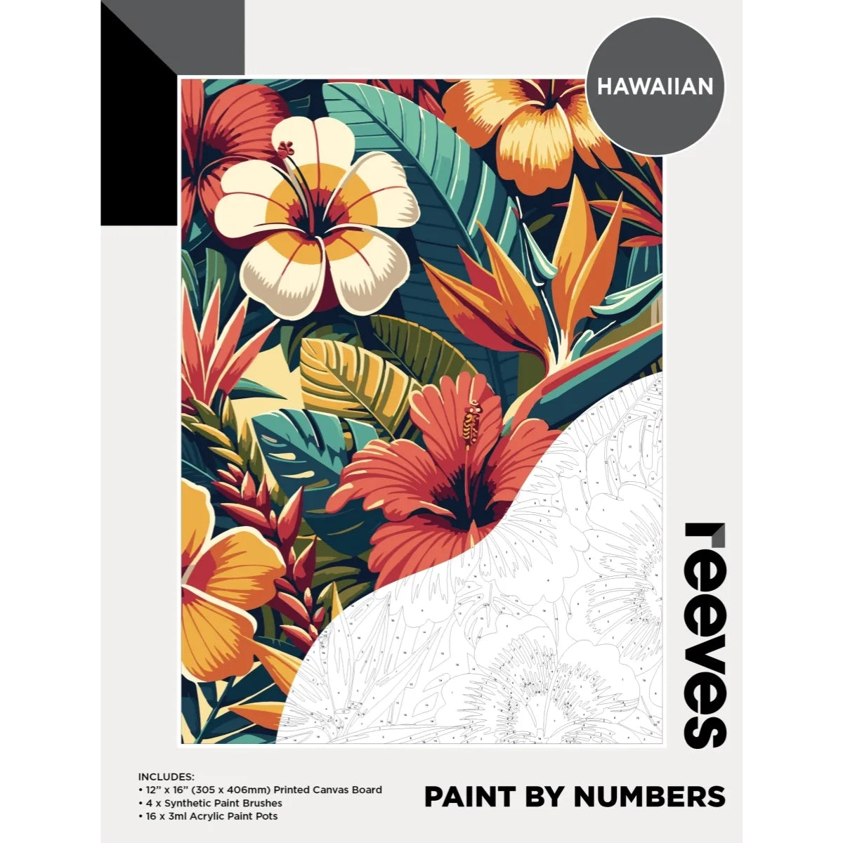 Reeves Paint by Numbers 12x16 inch - Hawaiian