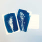 Cyanotype kit - Postcard - PAR image 5