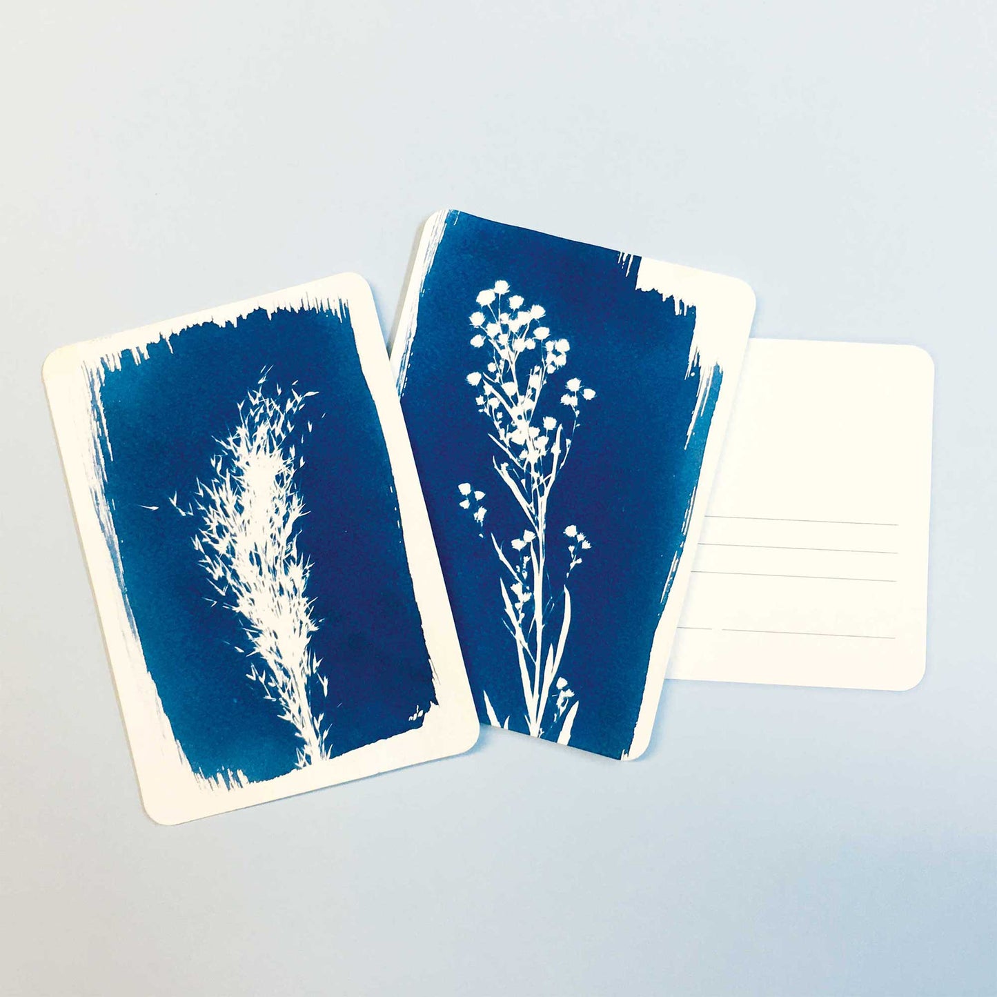 Cyanotype kit - Postcard - PAR image 5