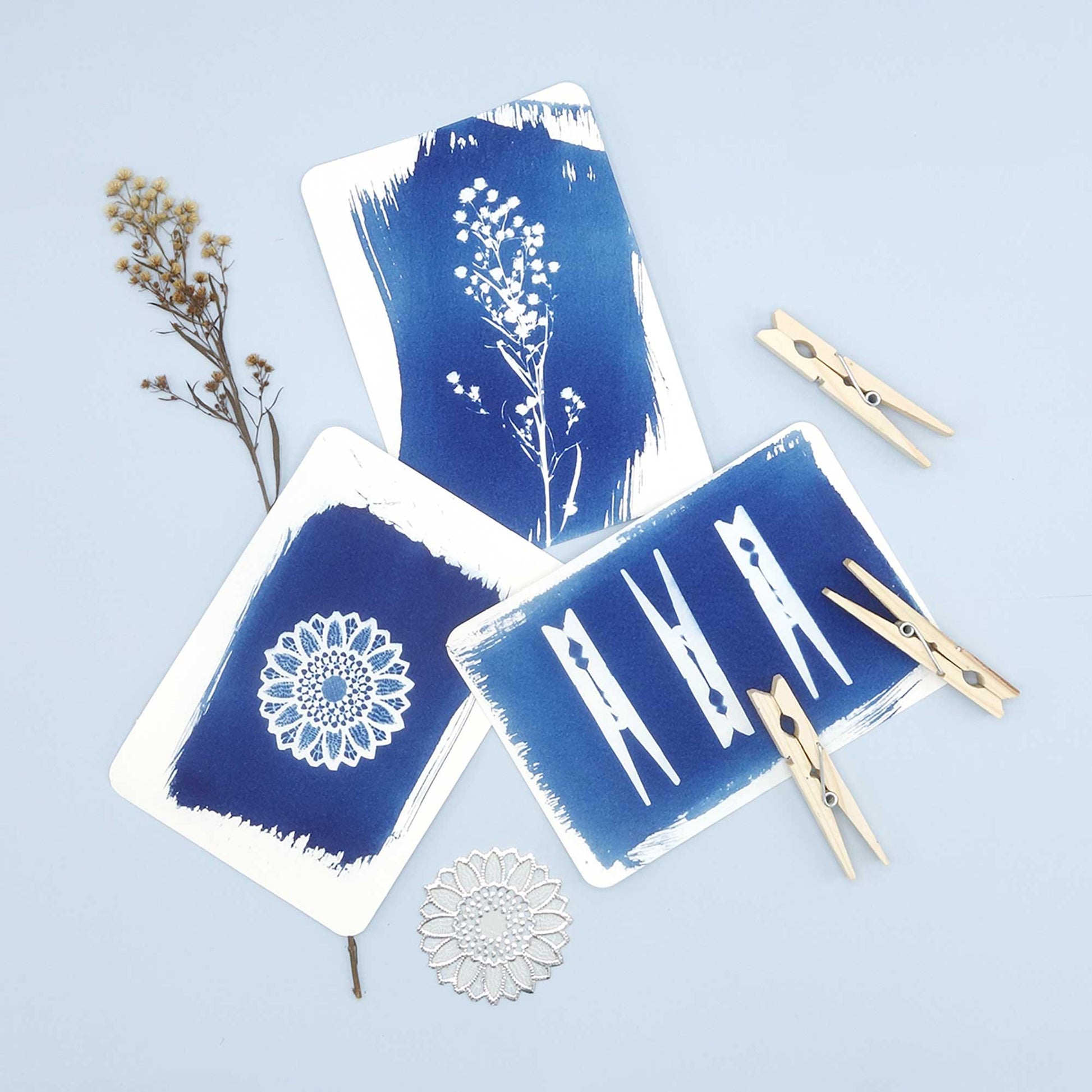 Cyanotype kit - Postcard - PAR image 6