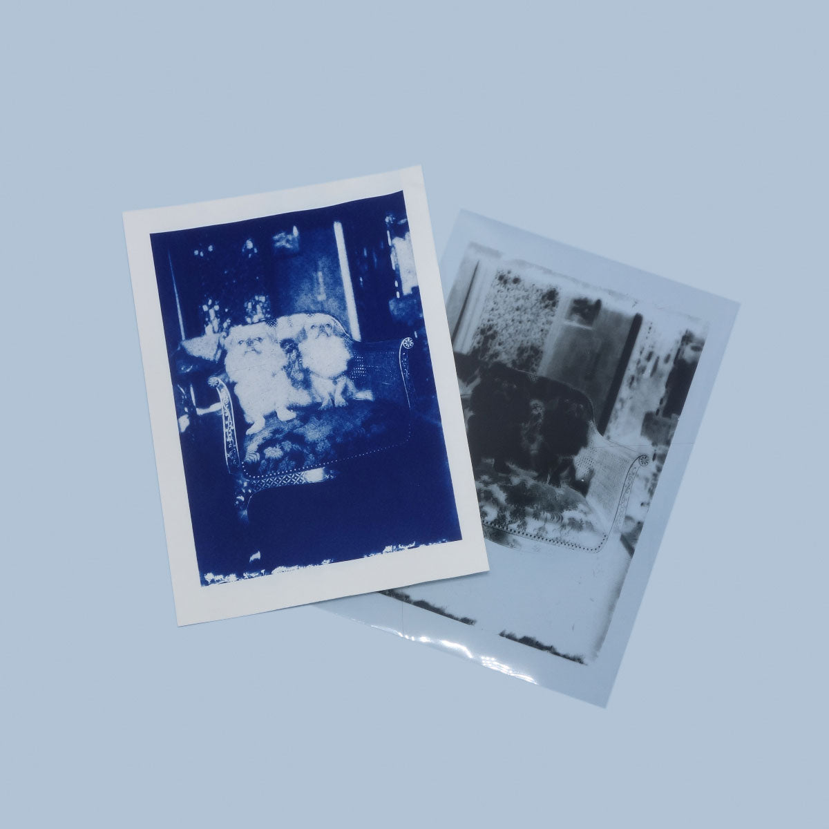 Watercolour Postcards - 12pk refill - PAR image 4
