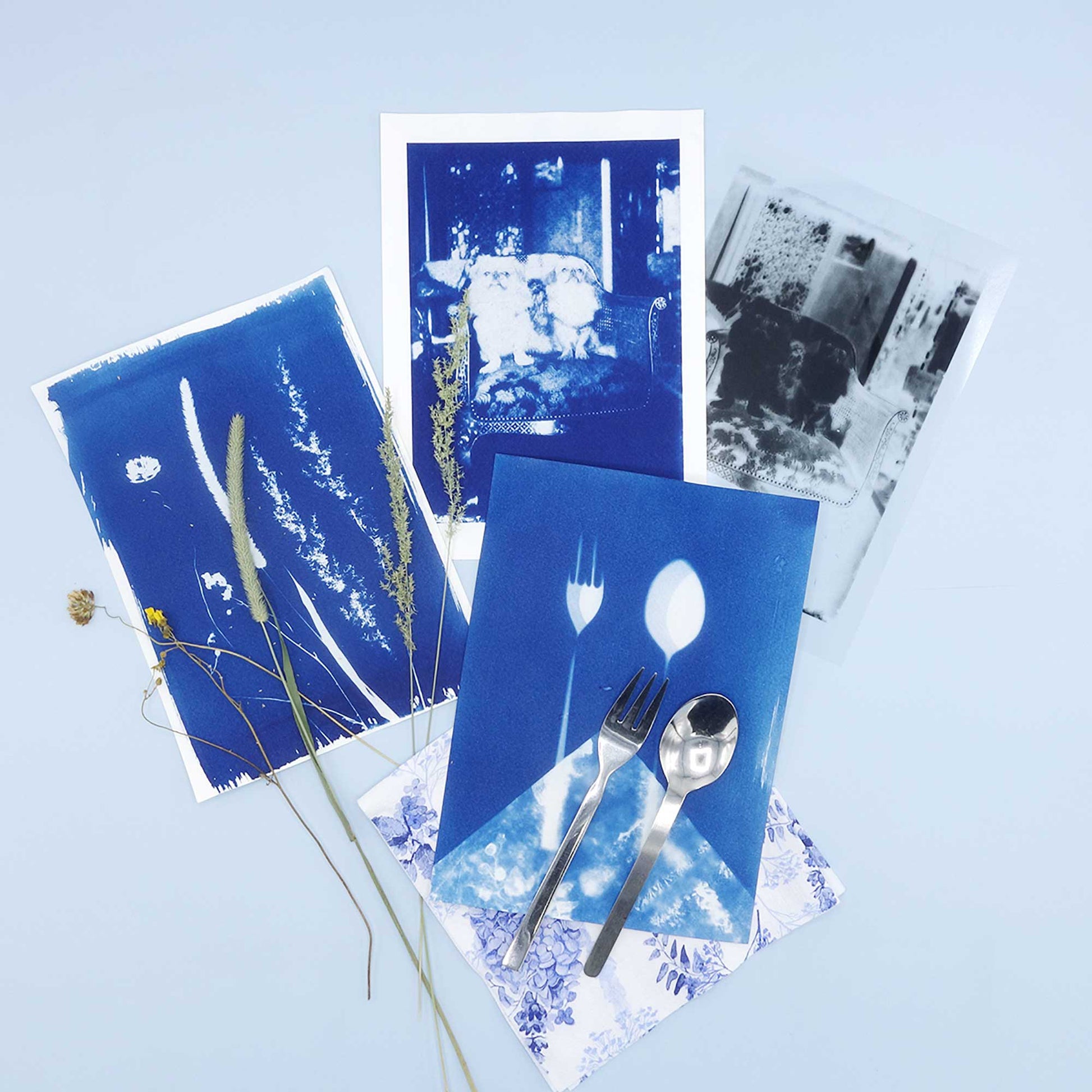 Cyanotype 2x 250ml - PAR