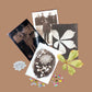 DIY Van Dyke Kit - Paper - PAR image 2