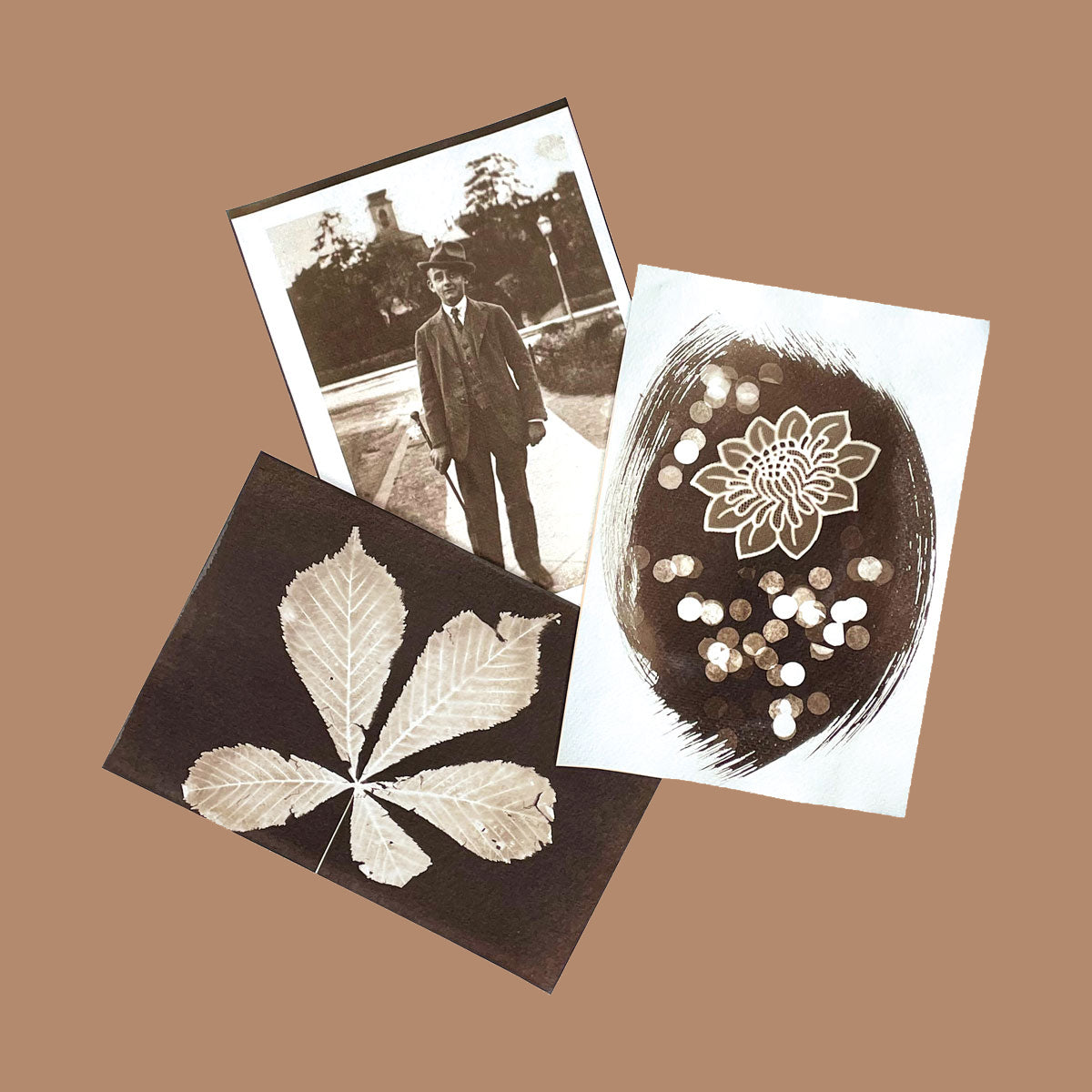 DIY Van Dyke Kit - Paper - PAR image 5