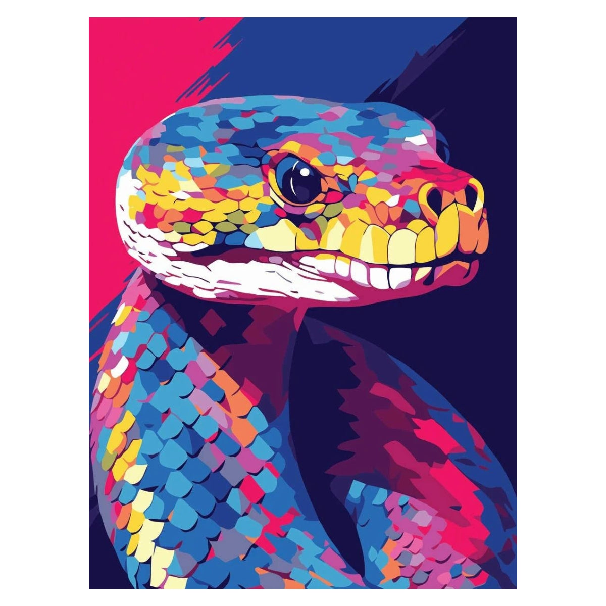 Reeves Paint by Numbers 12x16 inch - Serpent