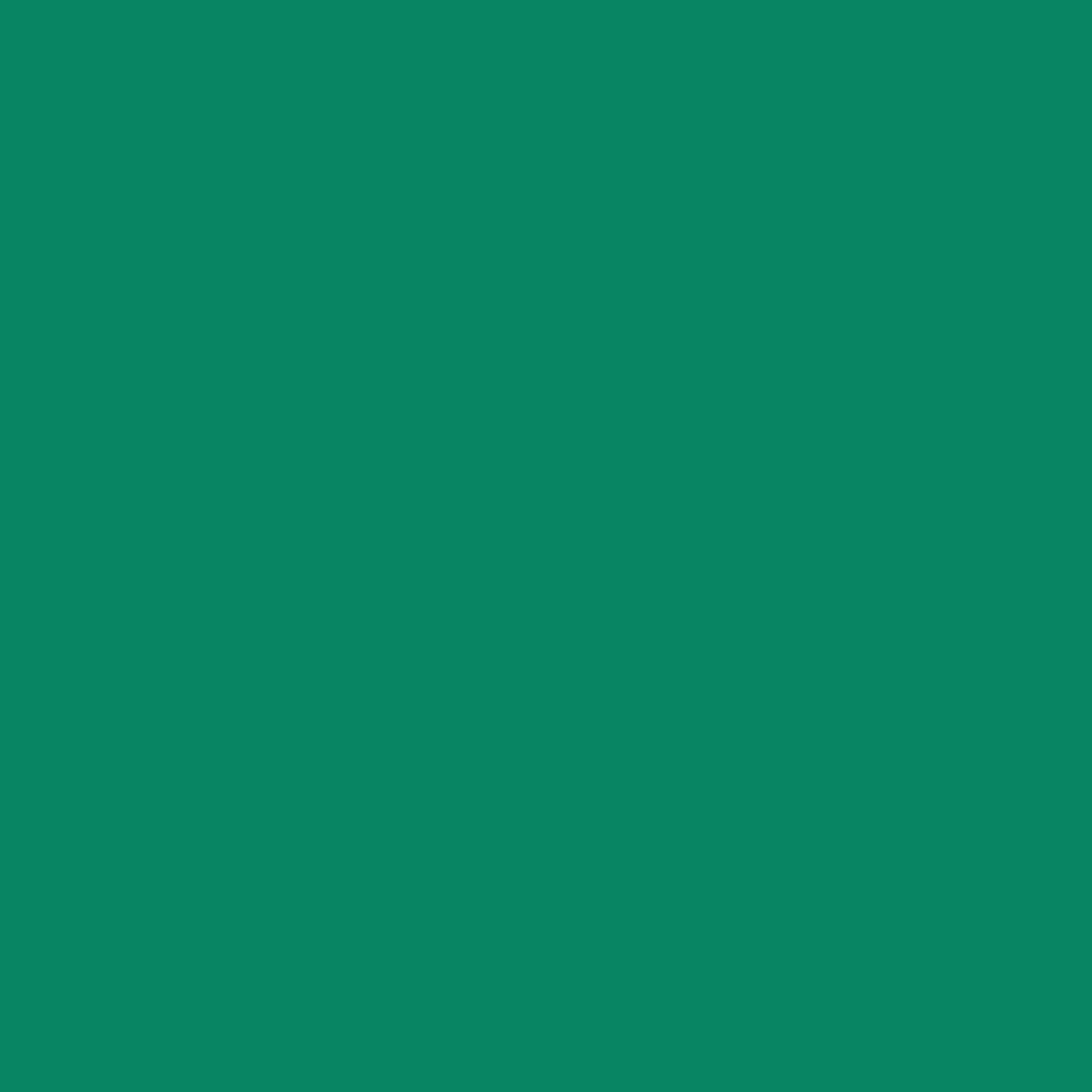 Liquitex Marker 2mm Metallic Aqua