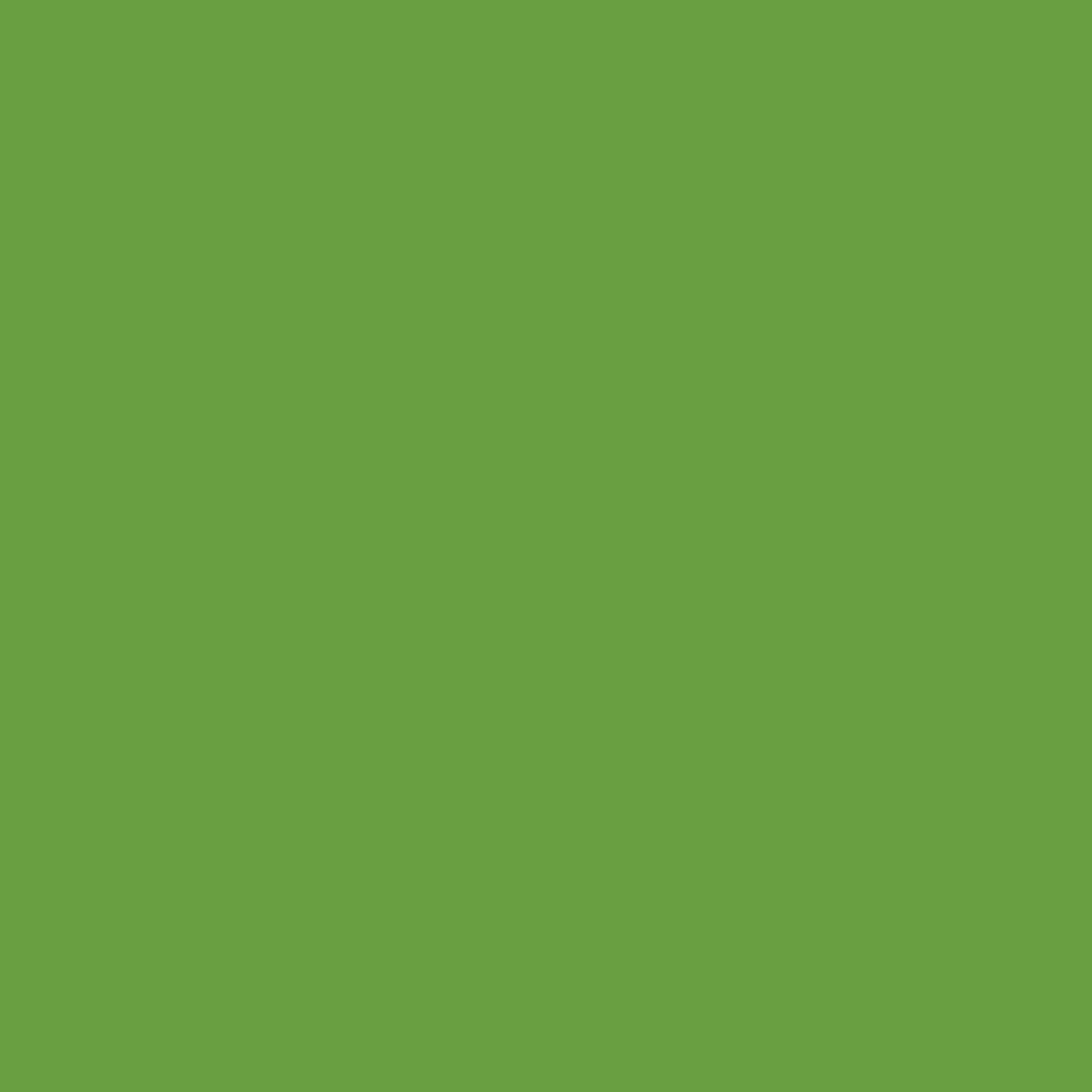 Liquitex LQX Marker 2mm Metallic Light Green