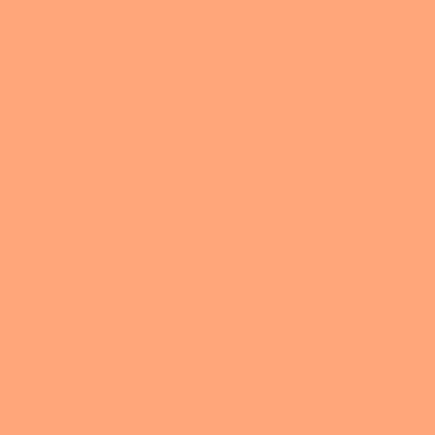 Liquitex Marker 2mm Coral