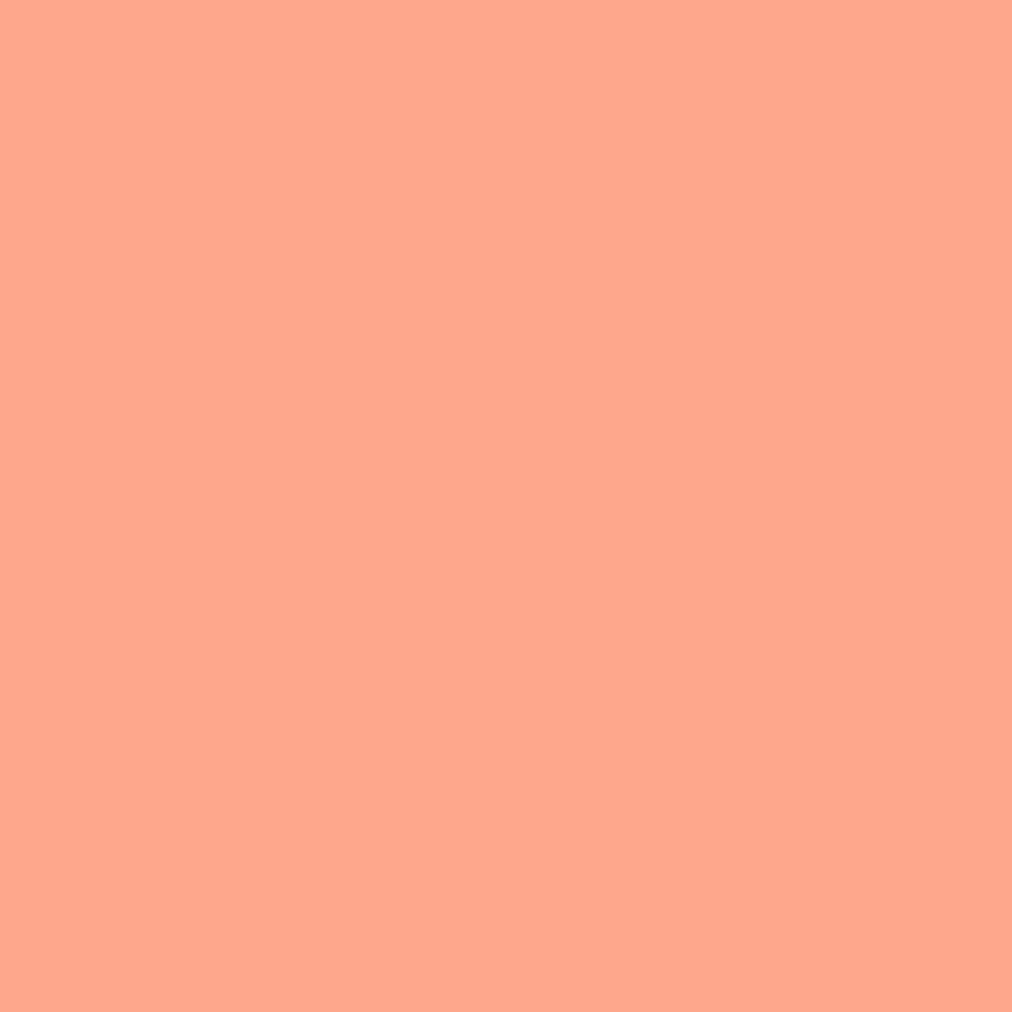 Liquitex Marker 2mm Peach