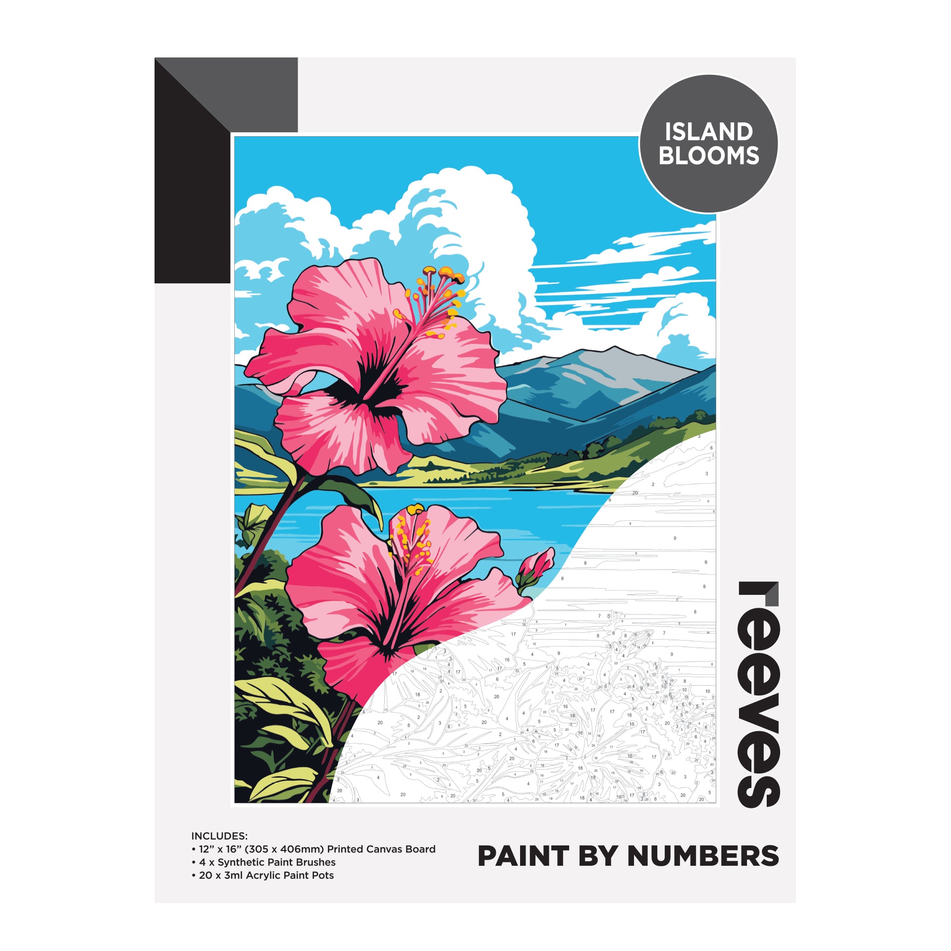 Reeves Paint by Numbers 12 x 16 in – Island Blooms