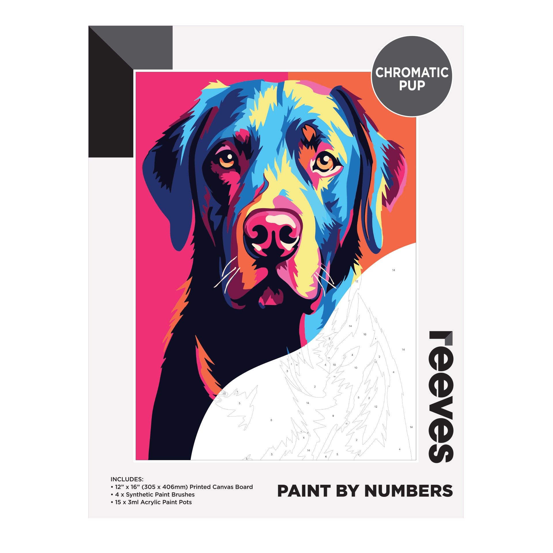 Reeves Paint by Numbers 12 x 16 in – Chromatic Pup
