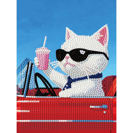 Diamond Dotz Stretched Canvas – Convertible Cat – 15 x 20cm