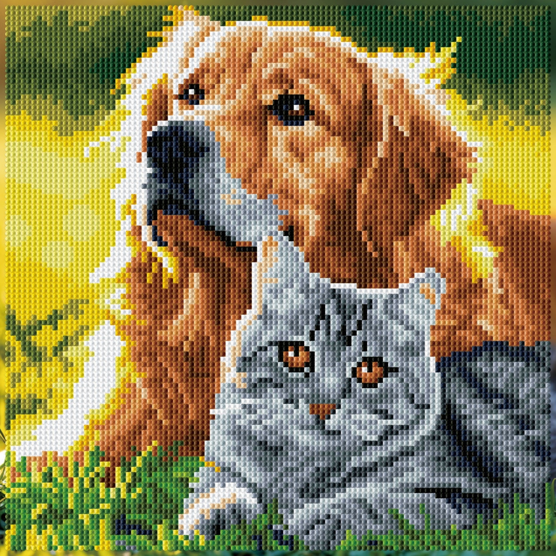 Diamond Dotz Stretched Canvas – Purrfect Day – 30 x 30cm