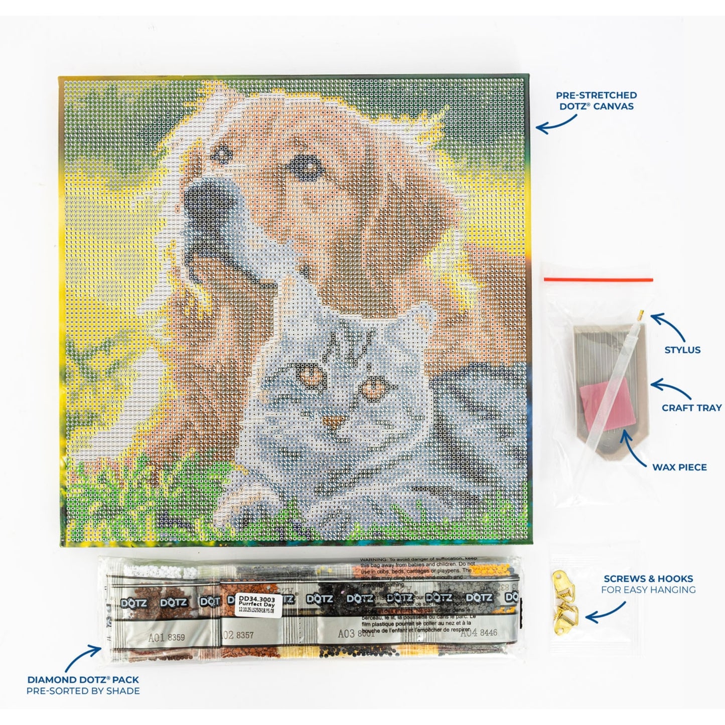 Diamond Dotz Stretched Canvas – Purrfect Day – 30 x 30cm