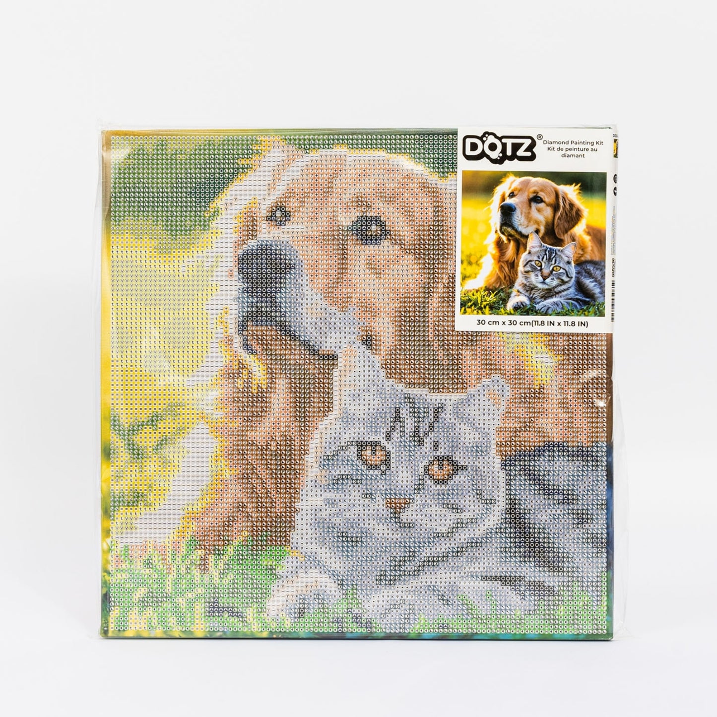 Diamond Dotz Stretched Canvas – Purrfect Day – 30 x 30cm
