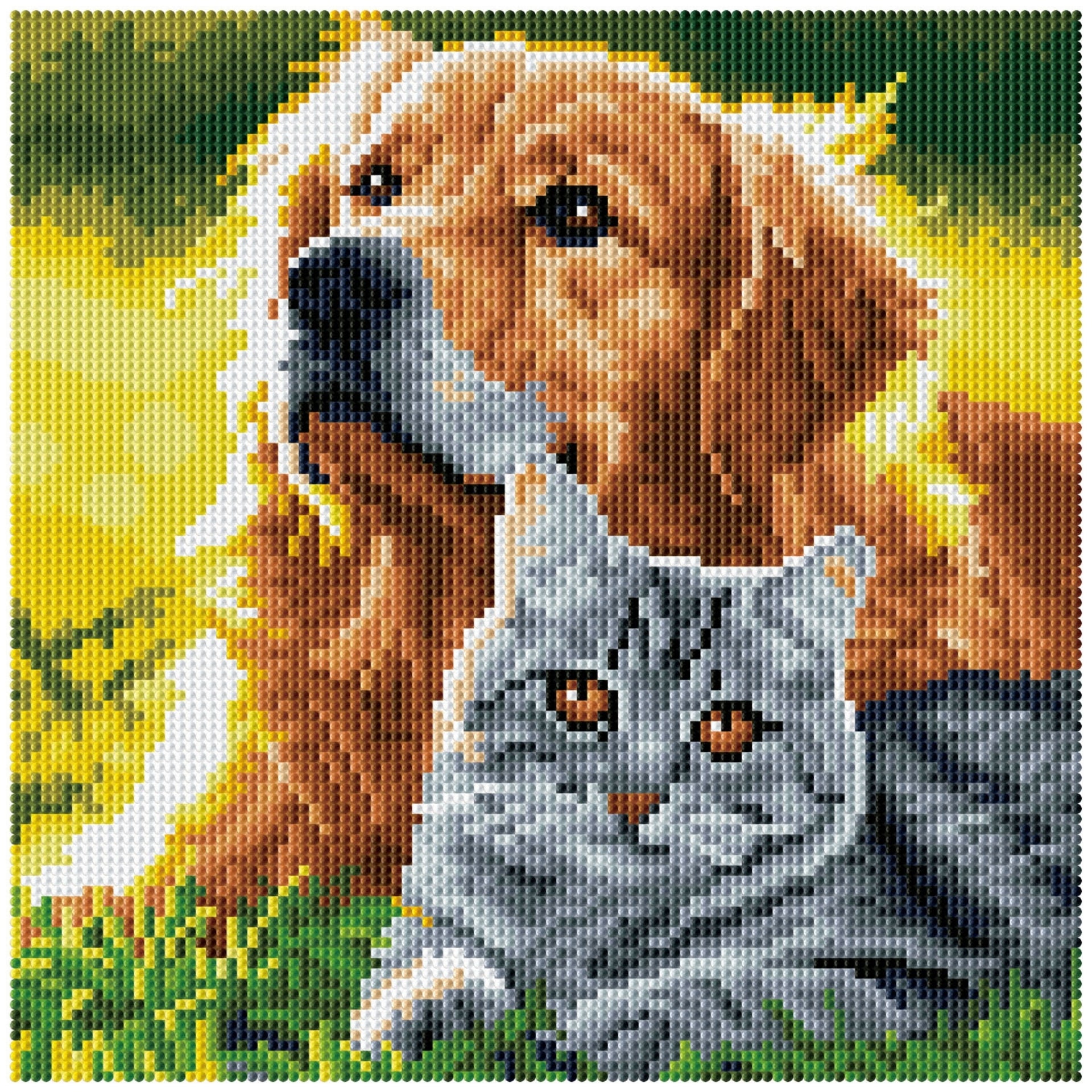 Diamond Dotz Stretched Canvas – Purrfect Day – 30 x 30cm