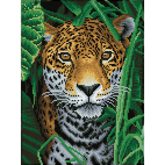 Diamond Dotz Stretched Canvas – Jaguar Jungle – 30 x 40cm