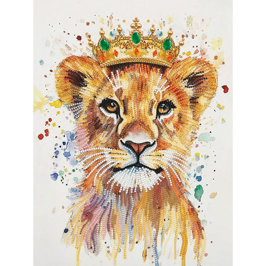 Diamond Dotz Stretched Canvas – Prince – 30 x 40cm