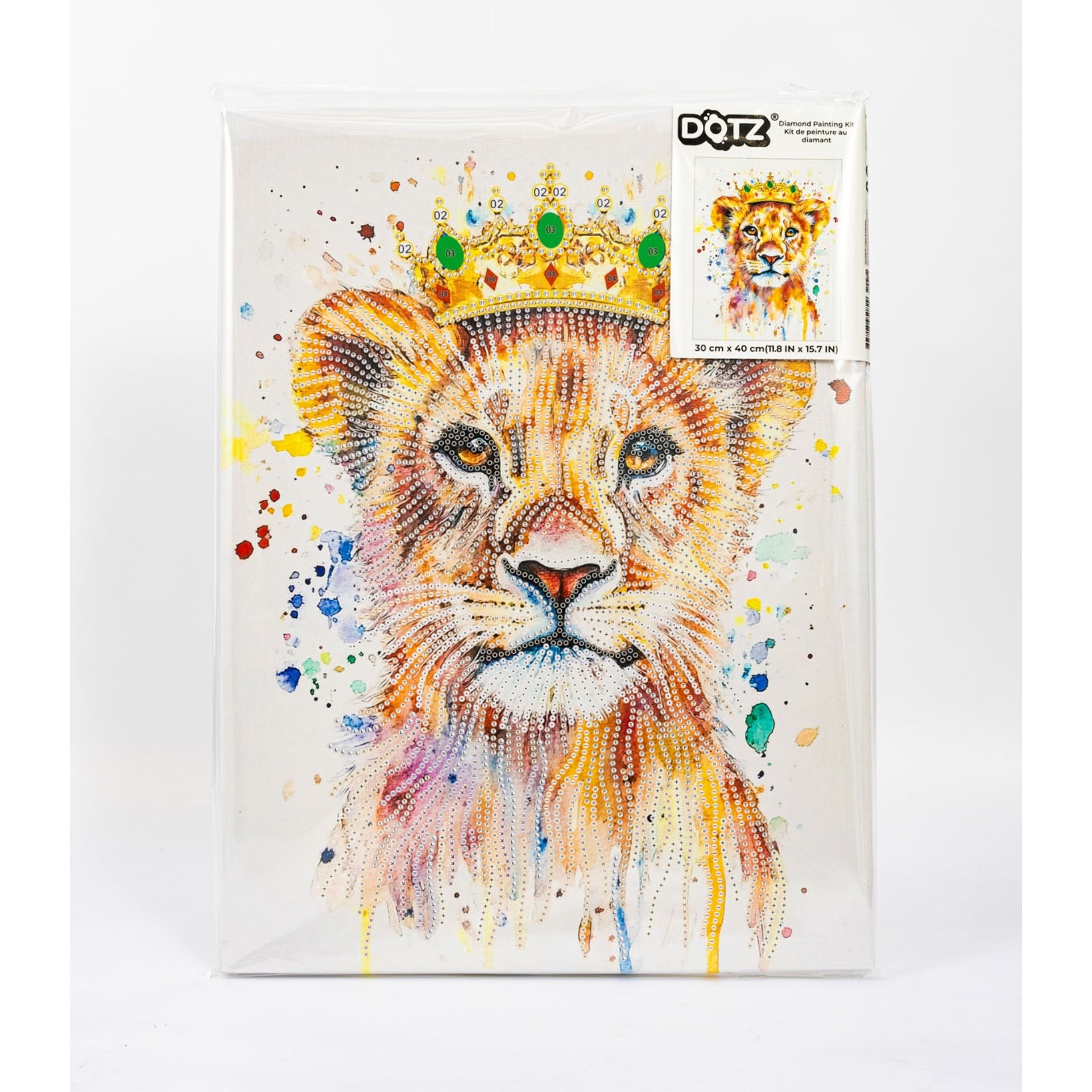 Diamond Dotz Stretched Canvas – Prince – 30 x 40cm